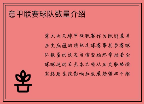 意甲联赛球队数量介绍